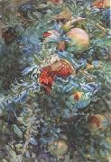 John Singer Sargent Pomegranates (mk18) France oil painting artist